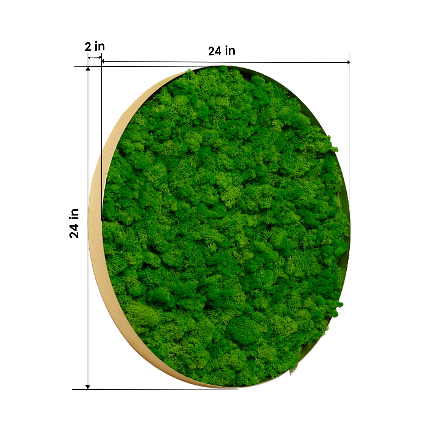 Round Framed Moss Wall Decor, only the Large