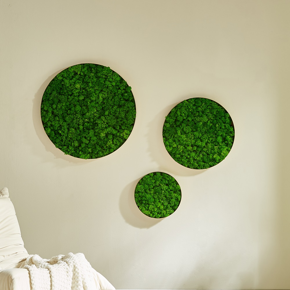 Round Framed Moss Wall Decor, only the Large